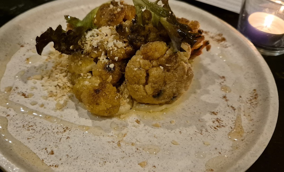 Rainforest Restaurant Photo 5